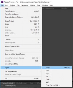 6 - clique em file-export-media